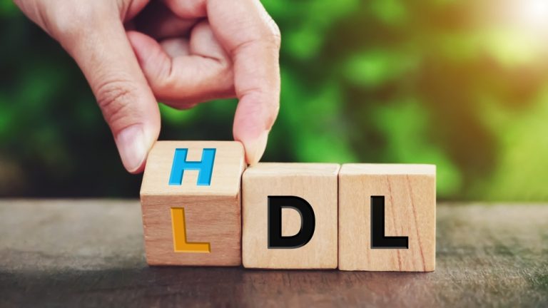 Frakcje cholesterolu: napis HDL i LDL na drewnianych klockach