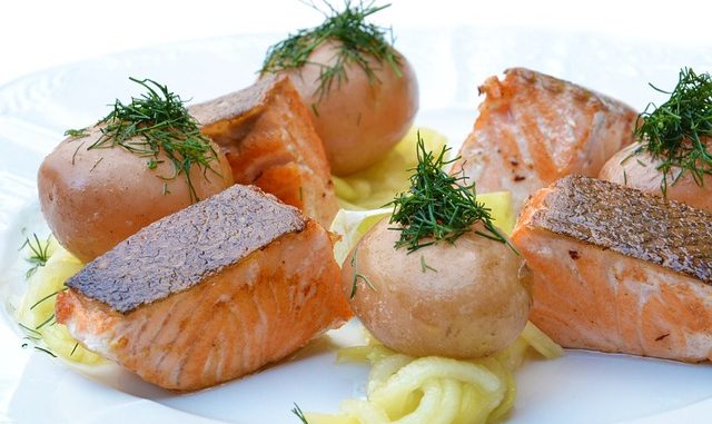 salmon-560987_640